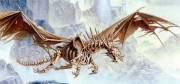 Origines et mode de vie des Dragons Liches Dragon_l
